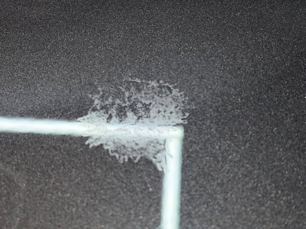 Close-up of white bird-dropping etching left in the clear coat of black automotive paint